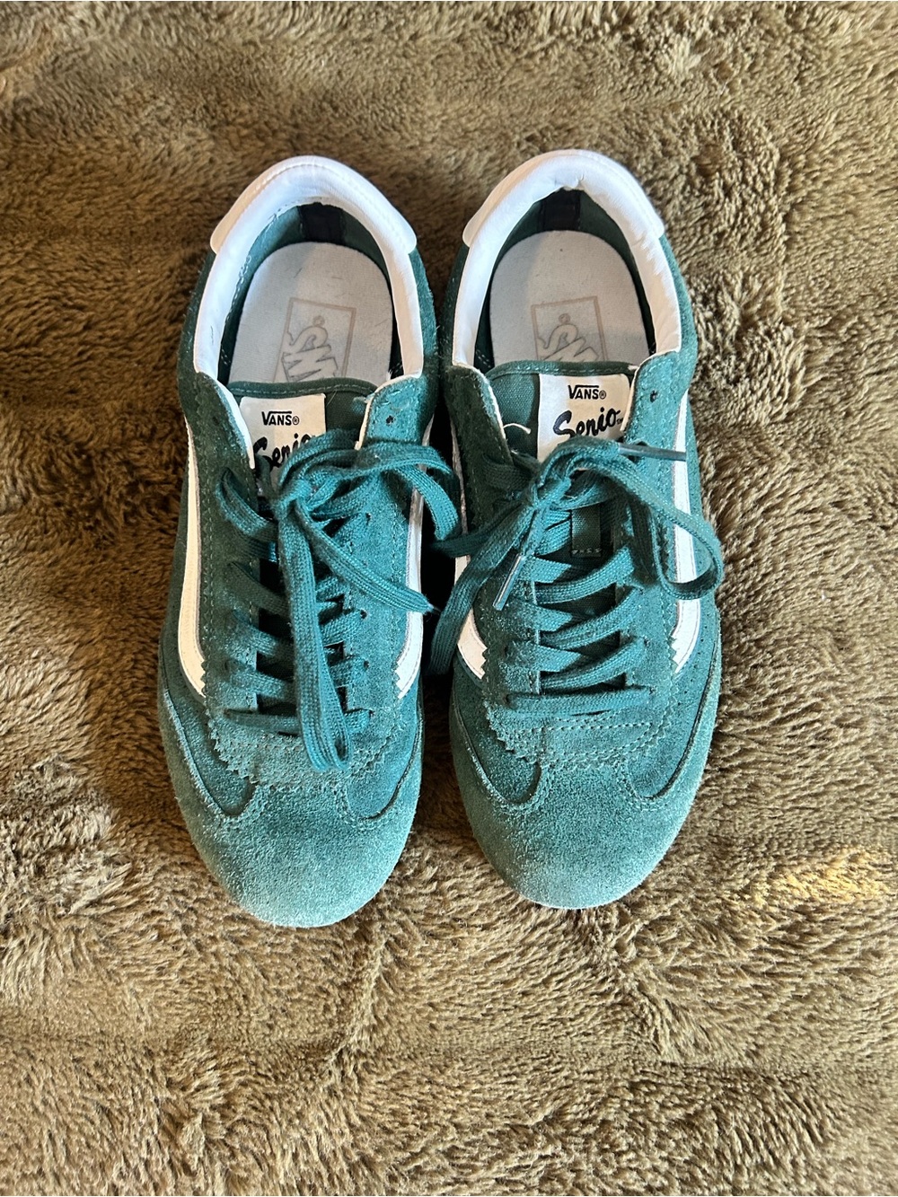 Vans Serio Sneakers in Green with White Stripe